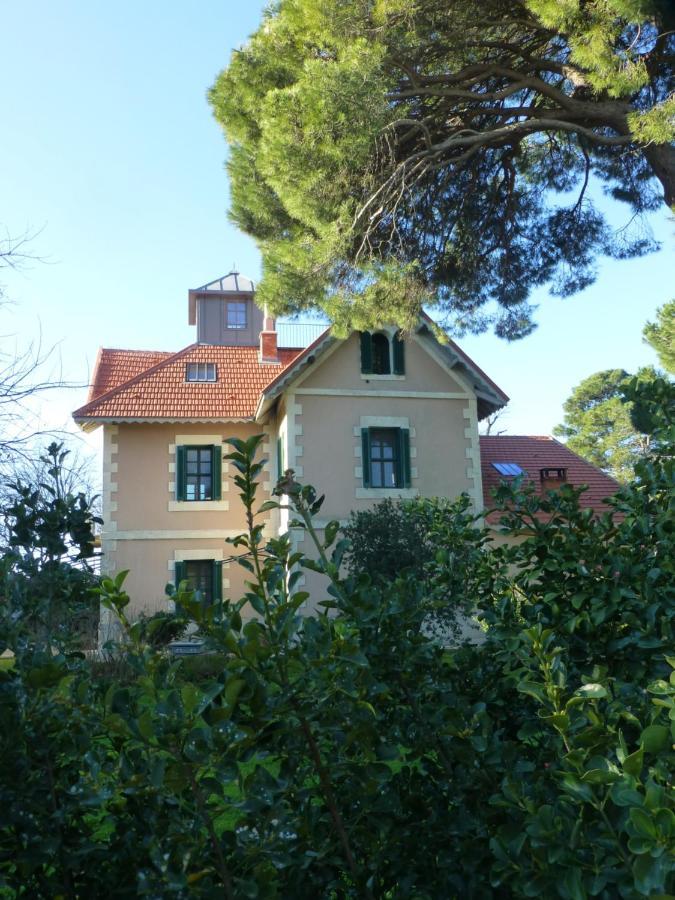 La Maison Du Mole Aigues-Mortes Dış mekan fotoğraf